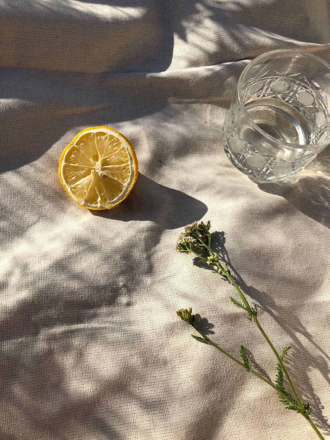 Soft sunlight on a linen table with lemon and a glass of water
