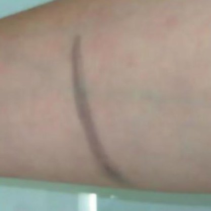 Make-up line on the arm, olive oil ester formula, after the 2nd wipe