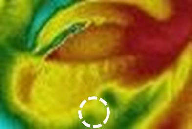 Thermal camera image after 1 hour, showing more cool green and blue areas