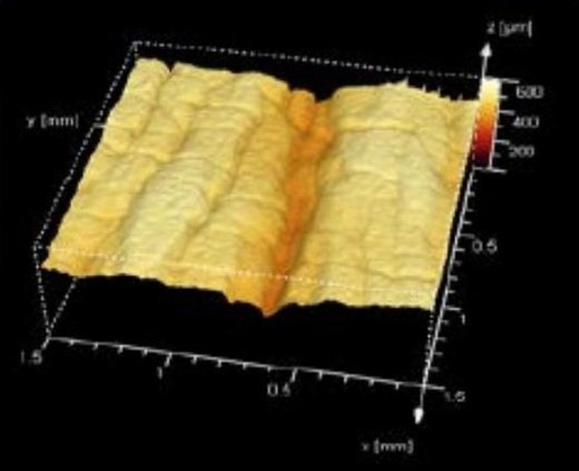 3D scan of a skin replica, acetyl hexapeptide-8, day 0