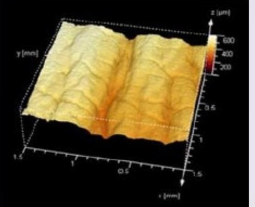 3D scan of a skin replica, acetyl hexapeptide-8, day 15