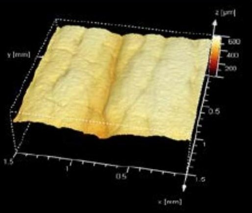 3D scan of a skin replica, acetyl hexapeptide-8, day 30